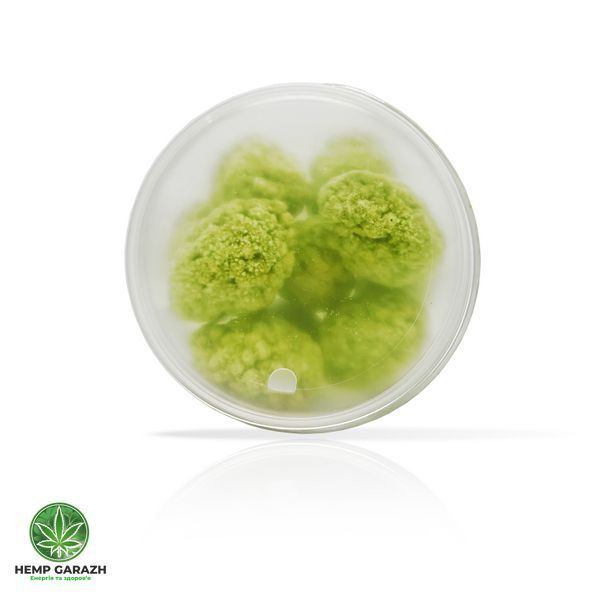 Sweet buds MAZAR 500 мг CBD в молочному шоколаді 100г mazar-50-b фото